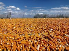 甘肃农垦大广普及聪慧农机配备